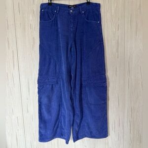 Urban Outfitters Indigo Corduroy Pants, Size 29
